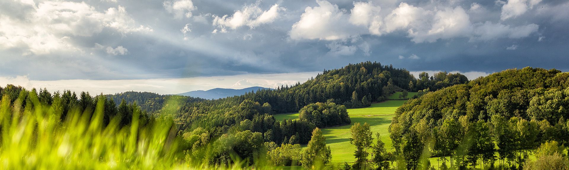 Bayrischer Wald 