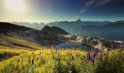 Alpensee