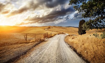 Ein Feldweg schlängelt sich durch eine weite, offene Landschaft, die von der untergehenden Sonne in warmes goldenes Licht getaucht wird. Ein einzelner Baum steht am Horizont.