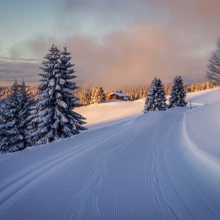 Winter im Schwarzwald