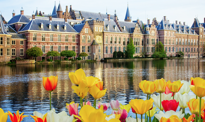 Das Binnenhof-Parlament in Den Haag spiegelt sich im Wasser, davor blühen gelbe und rote Tulpen.