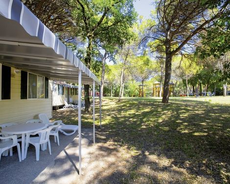 Belvedere Pineta Camping Village -3