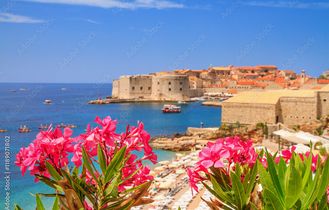 Blick aus der Vogelperspektive über Dubrovnik mit seinen alten Bauten und bunten Blumen im Vordergrund. Blauer Himmel.
