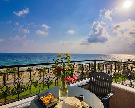 Kleopatra Royal Palm-0