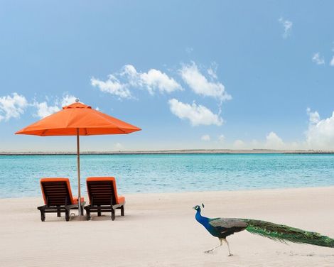 JA Beach Hotel-0