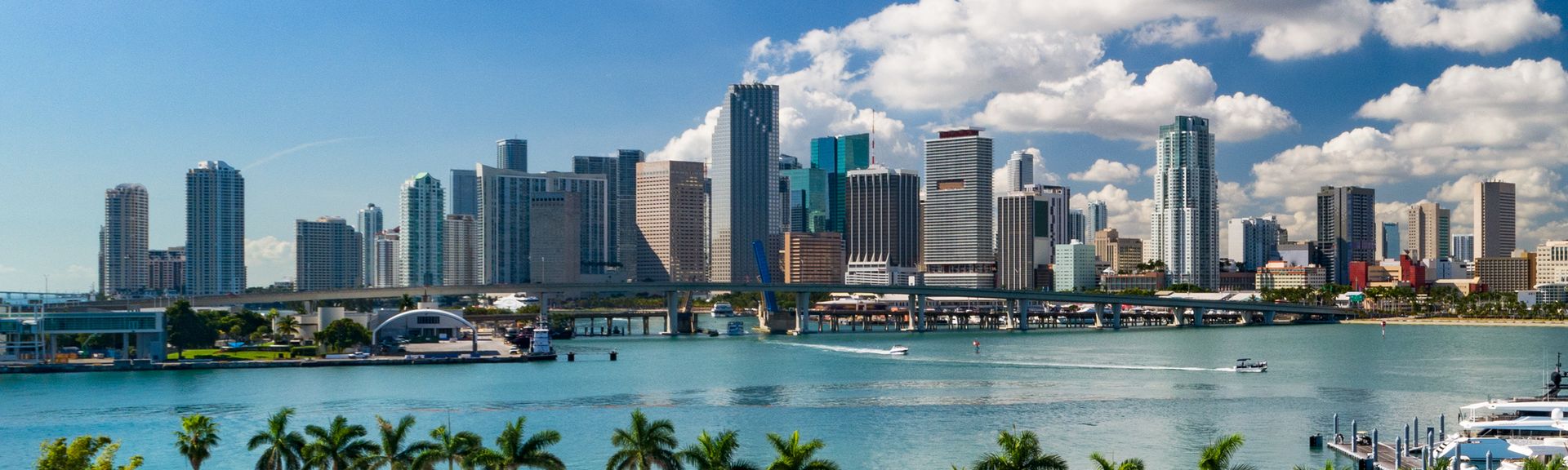 Miami Downtown Skyline mit Palmen und Biscayne im Vordergrund