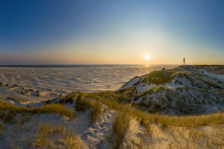 Amrum