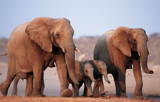 Mitgliederreisen Afrika & Orient
