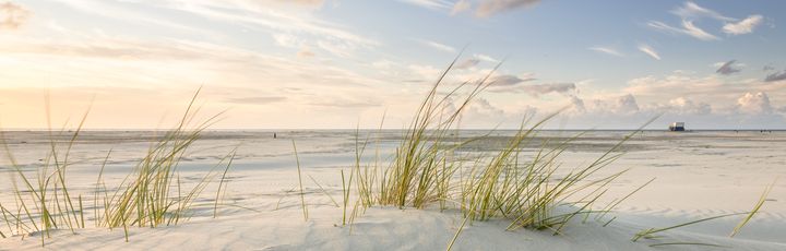 Ein Sandstrand mit Gras und einem Sonnenuntergang.