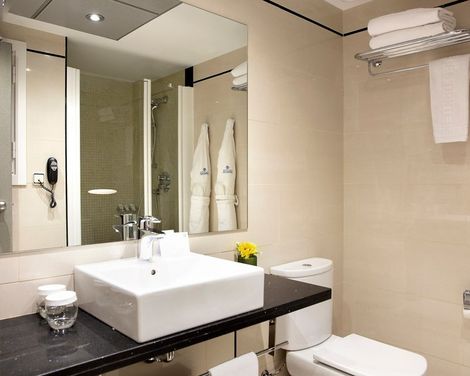 Best Western Premier Hotel Dante-0