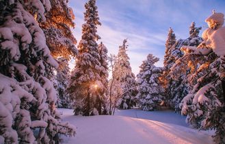 Schneelandschaft in Lappland