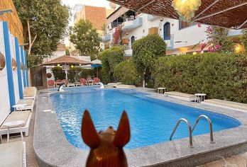 Hotel, Gezira Garden Hotel