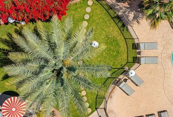 Hotel, Papago Scottsdale by Reside, Trademark Collection by Wyndham