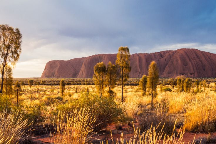 Aussicht auf Ayers Rock 