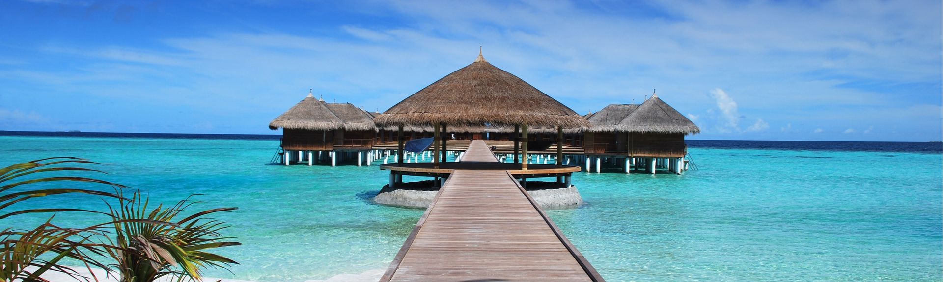 Ein Holzsteg welcher zu 3 Wasserbungalows auf den Malediven führt, inmitten des türkis-blauen Wassers. Palmenzweig am Steg.