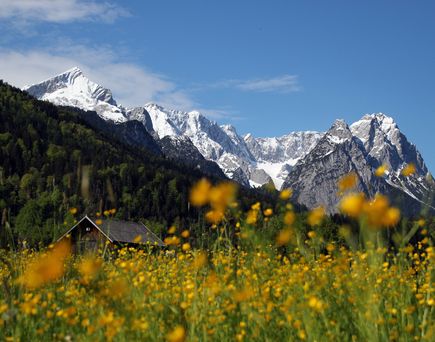 Eine majestätische Ansicht der Zugspitze, des höchsten Berges Deutschlands, mit ihrer zerklüfteten Felslandschaft und schneebedeckten Gipfeln unter einem weiten, blauen Himmel.