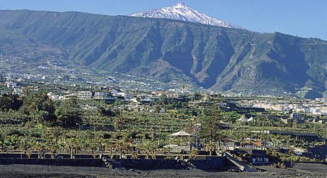 Alua Tenerife
