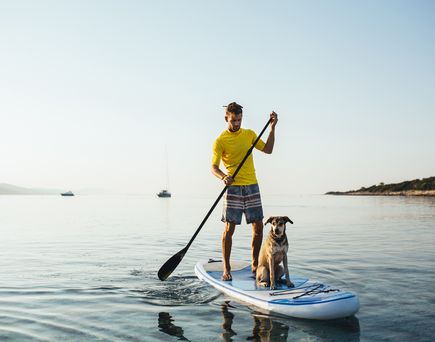 Strandurlaub mit hund_SUP mit Paddler und Hund