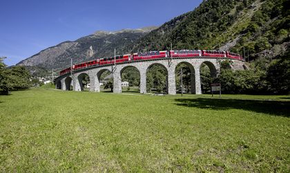 Der Bernina Express fährt über ein Viadukt in einer grünen Landschaft.