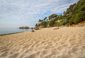 Hotel, htop Platja Park