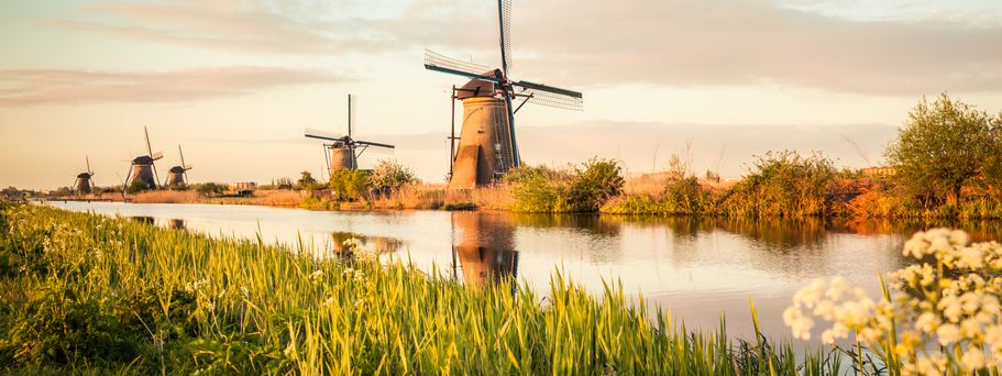 Bei den Windmühlen von Kinderdijk sieht Holland aus wie im Bilderbuch