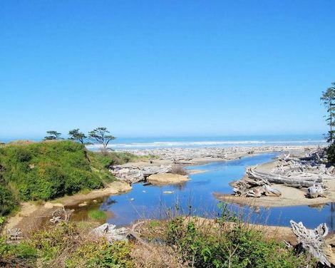 Kalaloch Lodge in Olympic National Park-2