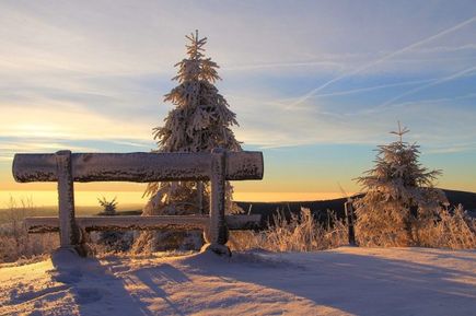 fichtelberg, tanne, schnee, bank, winter