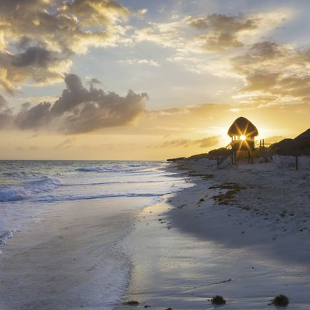 Ein Sandstrand mit Palmen und einer Person bei Sonnenuntergang.