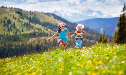 Kinder auf der Wiese 