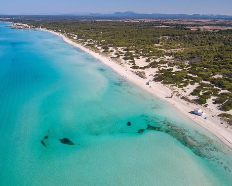 Blau Colonia Sant Jordi-0