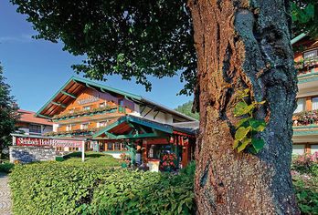 Hotel, Steinbach-Hotel