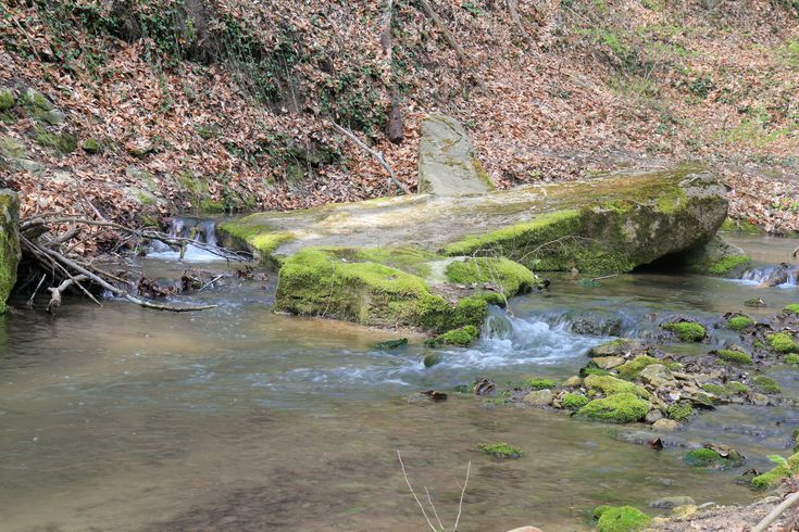 Albena Nationalpark in Bulgarien