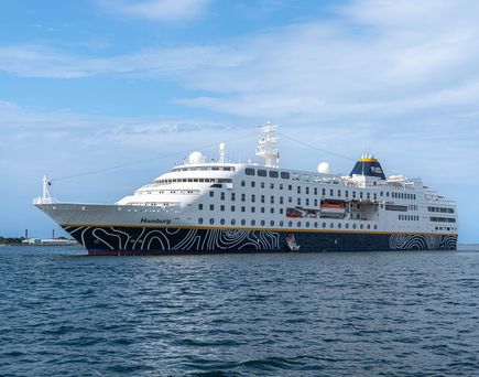 Ein großes Kreuzfahrtschiff auf dem offenen Meer.