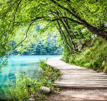 Ein großer Wasserfall, der in mehrere Stufen über Felsen fließt, umgeben von üppiger Vegetation.