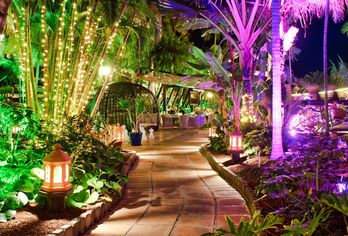 Hotel, Hotel Parque Tropical