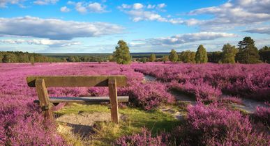 Ferienwohnungen Lüneburger Heide
