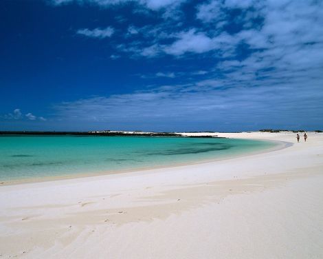 TAO El Cotillo-2