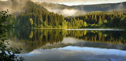 Hotels Harz