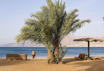 Hotel, Dahab Lagoon Club & Resort