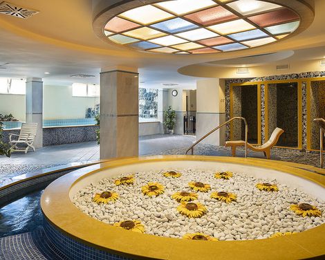 Hotel Terme Alexander-2