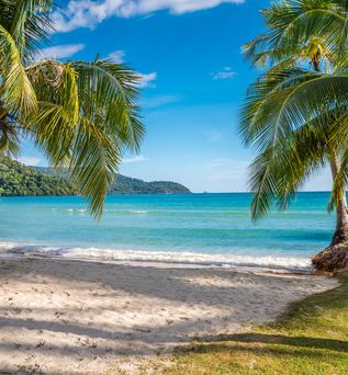 Strand mit Palmen und einer Hängematte am türkisblauen Meer