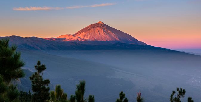 Pico del Teide auf Teneriffa, der in der Abenddämmerung von der Sonne beleuchtet wird, mit Kiefern im Vordergrund