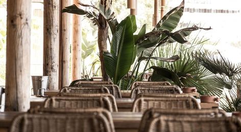 Virginia Family Resort