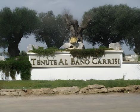 Tenute Al Bano-1