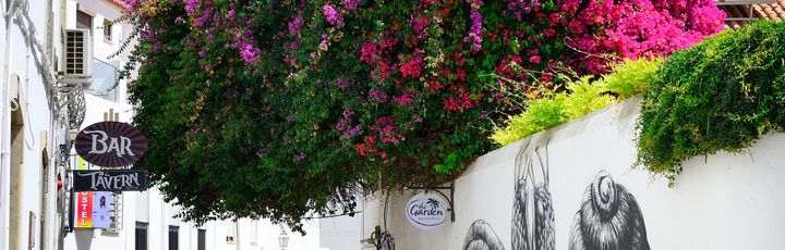 Eine Straße in einer Stadt mit bunten Blumen, die von einem Gebäude hängen.