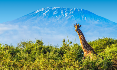 Kenia - Jenseits von Afrika