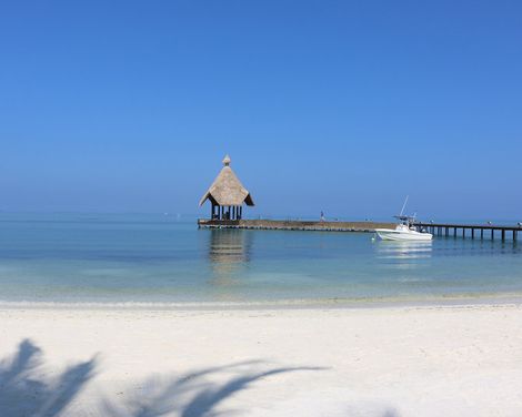 Canareef Resort Maldives-0