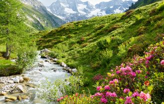 Landschaft in den Bergen