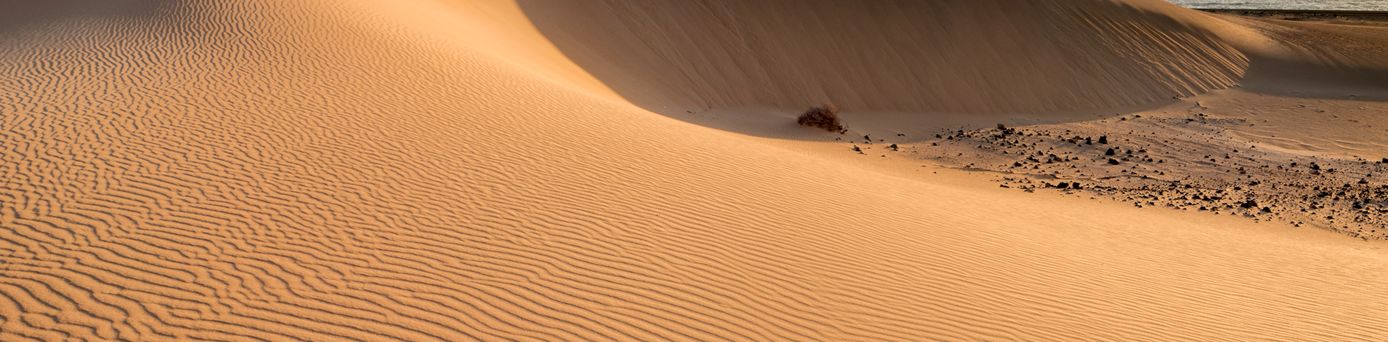 Fuerteventura Dünen