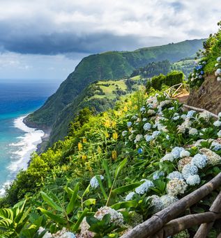 Blick aufs Meer vom Coastal Path mit Hortensien, Sao Miguel, Azoren, Portugal